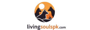 livingsoulspk.com